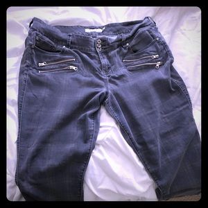 TORRID jeans
